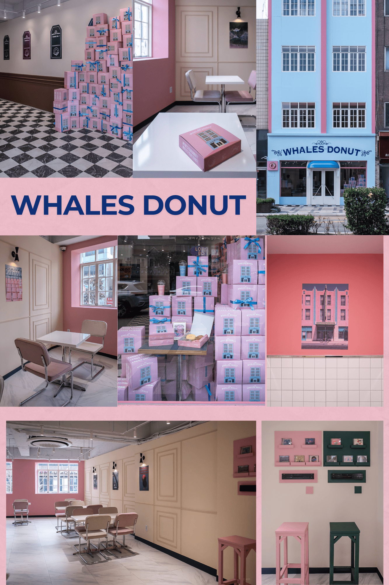 WHALES DONUT