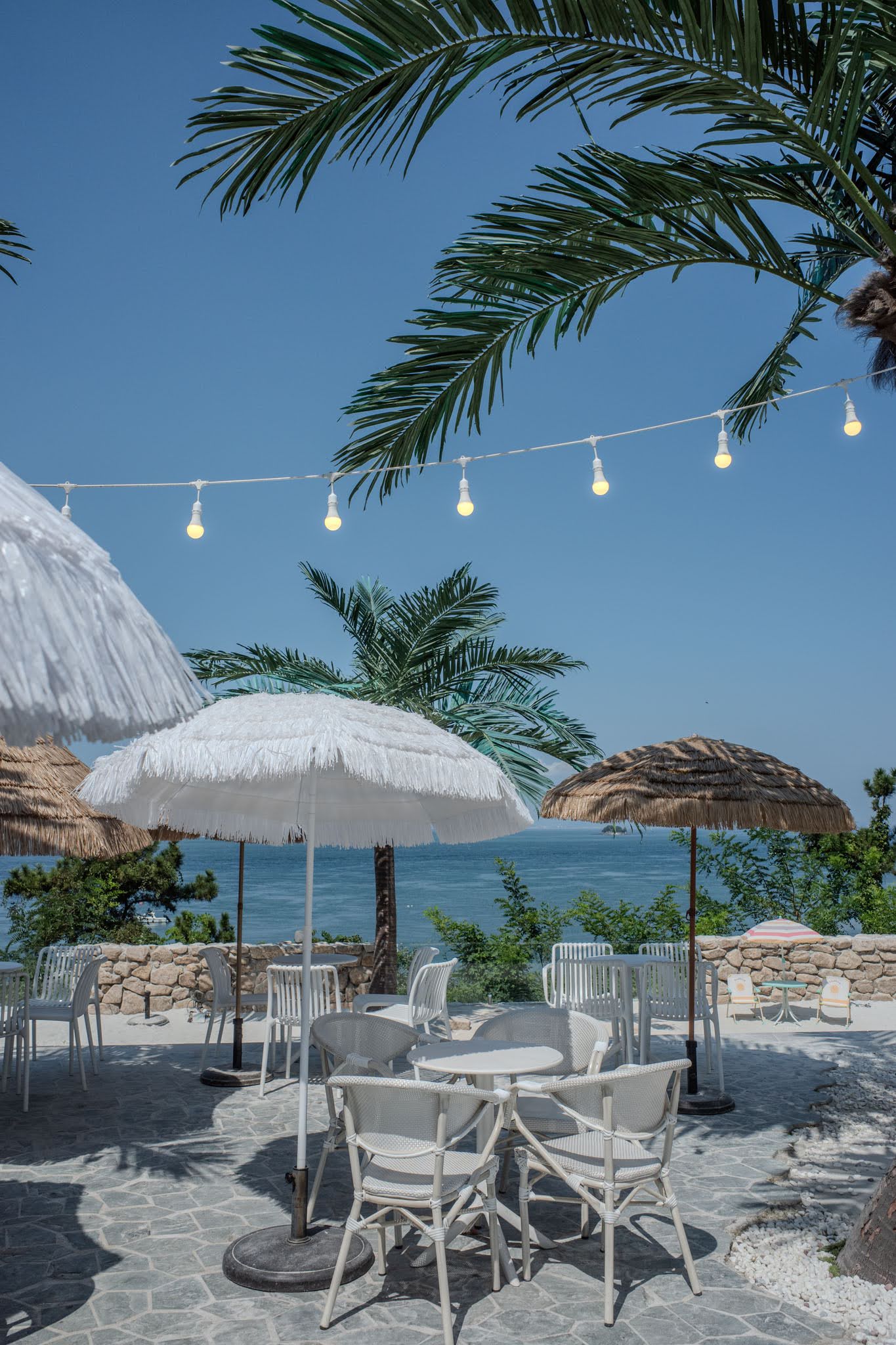 MER:D, Seonjae-do: Where the West Sea Goes Tropical