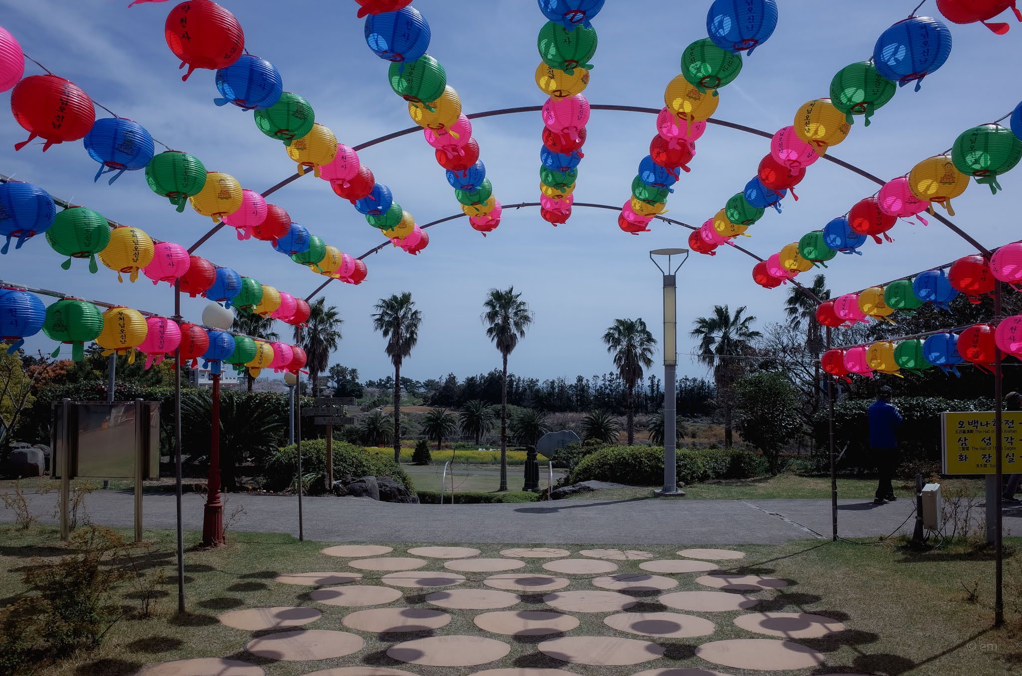 Yakcheonsa, Seogwipo: Lanterns, Palms, and the Largest Hall in East Asia