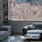 ODT, Hapjeong: The Design Studio That Keeps Cherry Blossoms Inside IMG_0950