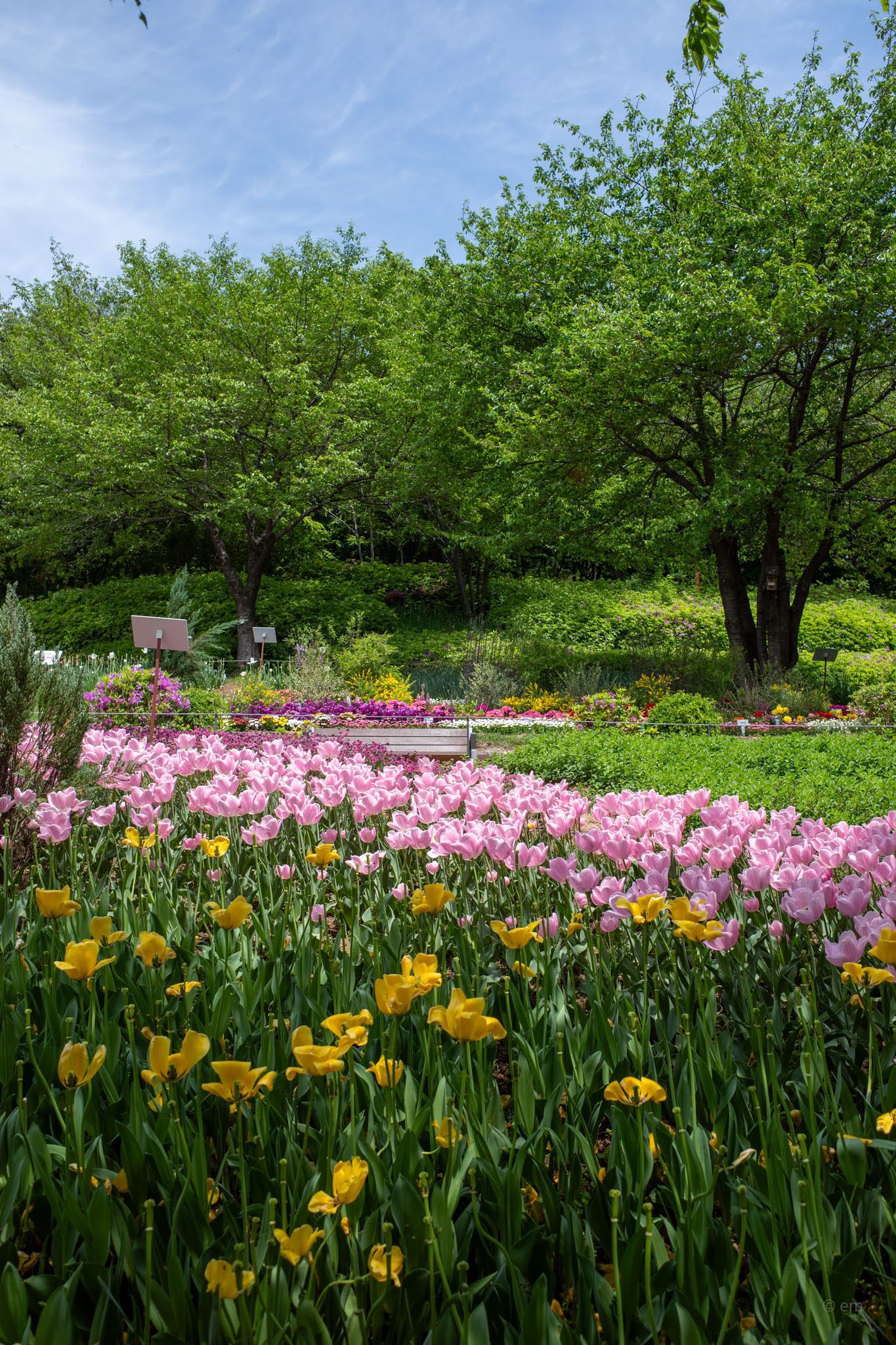 Yeonhui Forest Rest Area: A Garden on the Ansan Hillside Above Hongjecheon