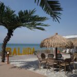 BALiiDA, Daebudo: A Place to Chill R0015687-cmpr