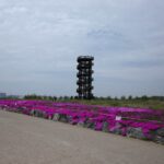 Siheung Gaetgol Eco Park, Siheung: The Salt Field That Came Back R0015972-2-cmpr
