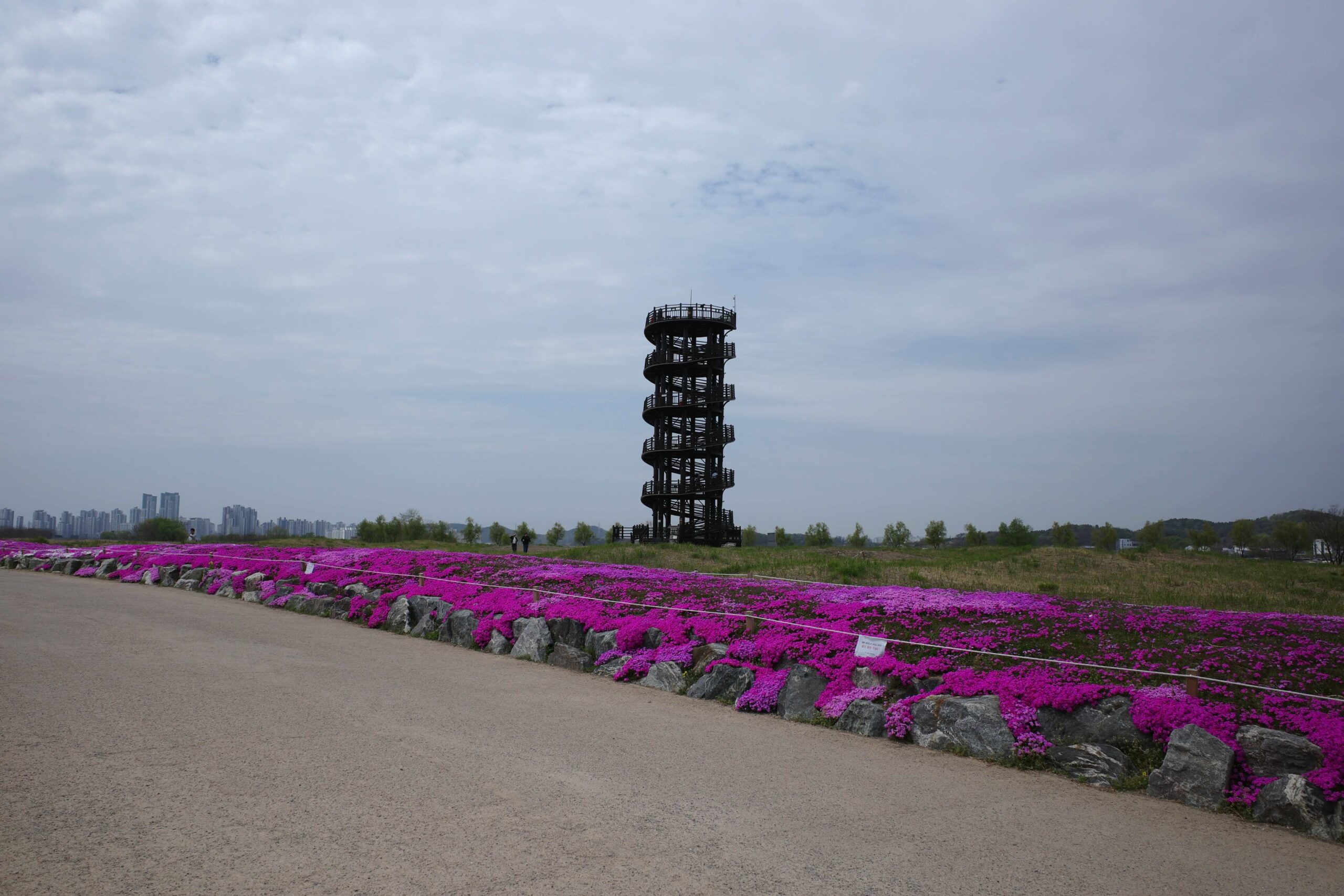 Siheung Gaetgol Eco Park, Siheung: The Salt Field That Came Back